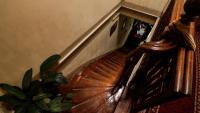 Blanca Rosa Valparaiso B&B - Chambres d’hôtes
