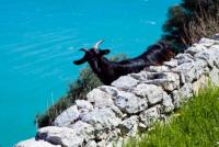 case vacanza montesaraceno - Ferienwohnung Mattinata