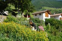 Alpenrose - B&B Martello