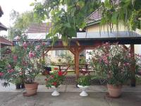 Harang Panzió - B&B Gyomaendrőd