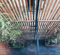 Casa Anna - Bed and Breakfast