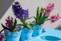 SPLIT APARTMAN free private garage - B&B