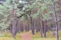 Apartment mit Terrasse