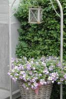 B&B Family@home66 - B&B Bruges