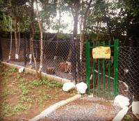 Pousada Bosque - B&B