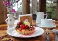 Snow Valley Eco Lodge - B&B São Joaquim