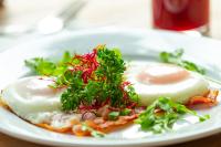 Folwark Białych Bocianów - B&B Kamionka