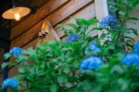 Onsen Guesthouse HAKONE TENT - B&B