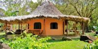 Deluxe Bungalow with Garden View