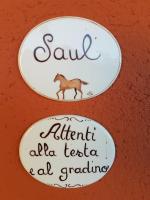 Suite con Vista Piscina