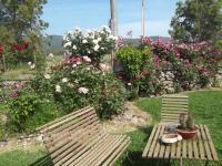 Il Vecchioliveto di Ornella - B&B Marrubiu