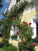 Pension Arkadenhof - Ferienwohnung