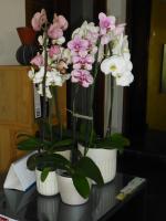 Chambre Double Deluxe - Vue sur Mer