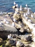 Apartment in Sarande - B&B