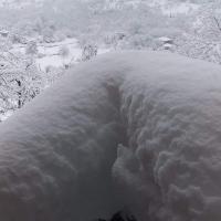 Gemischter Schlafsaal