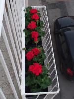 Appartamento con 1 Camera da Letto e Balcone