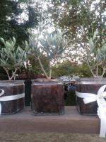 Country Villa Atheras - B&B Athéras