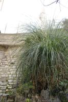 Punto Relax - B&B La Spezia