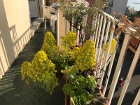 Magia nel golfo del Tigullio - B&B