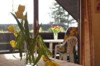 Apartment First Floor