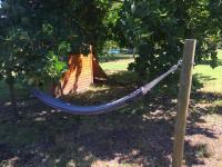 Los Pinos de Quilvo - B&B Romeral