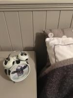 Grote Kamer met 2 Bedden