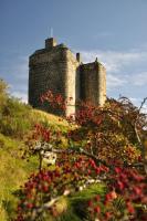 Neidpath Castle Cottage - B&B