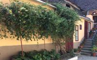 Iony Apartament - B&B