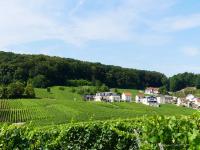 B&B en Champagne - Ferienwohnung