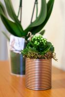 IRIS CENTRALISSIMO - B&B Sanremo