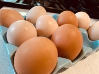 Tomah Retreat - Studio BREATHE with fireplace - Chambres d’hôtes Mount Tom