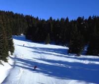 Apartments Sia - B&B Kopaonik