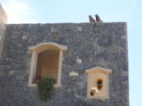 Kenzho Apart. del Diablo - Chambres d’hôtes Punta del Diablo