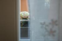 Lanterna Room&Breakfast - Bed and Breakfast Carpi