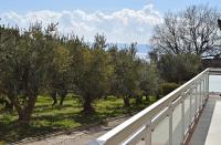 Apartamento con vistas al jardín