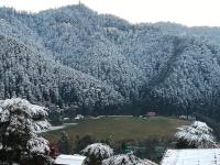 B&B Shimla - Apple House - Bed and Breakfast Shimla