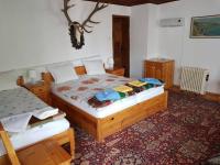 Suite Junior con vistas al jardín
