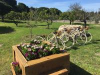 Studio met Uitzicht op de Tuin