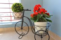 Casa del sole - B&B Kavala