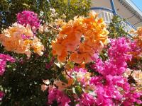 Seaview - selfcatering apartment - Helen No 2 - Bed and Breakfast Ksiropígado