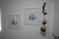 Estudio Deluxe con cama grande