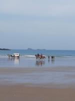 46 Avenue Pasteur - B&B Saint-Malo