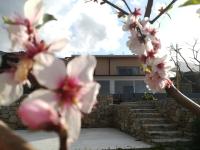 B&B Capo al Piano - B&B Marciana Marina