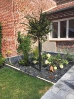 LES CHAMBRES D'HOTES DU PALAIS - Ferienwohnung Douai