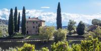 La Maccinaia by Salogi Villas - Bed and Breakfast Monte Benichi