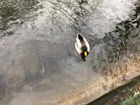 Au fil de l'eau - B&B Grupont