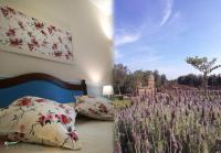 TENUTA ALMATELLUS - B&B Torre Lapillo