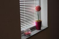 Apartment Rako - B&B