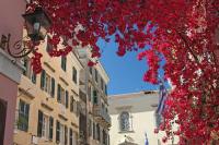 Leone Old Town Apartment - B&B Grevediana