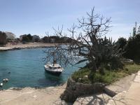 Appartamento con Terrazza